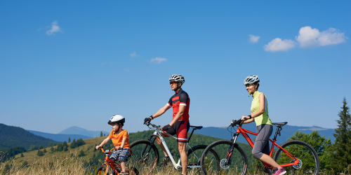 Rando vélo à Châteauneuf du Pape avec l'Hotel Le Glacier